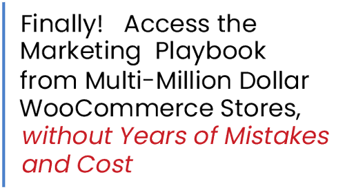 Access the Marketing Playbook for Million Dollar Web Stores